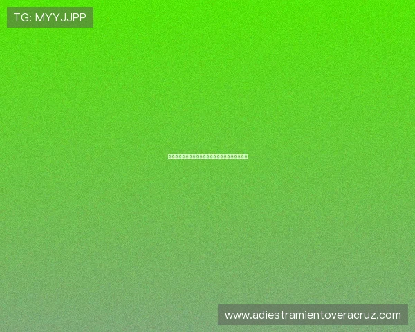 共咪百家乐玩家常见问题解答及解决方案全方位指导